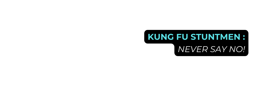 KUNG FU STUNTMEN NEVER SAY NO
